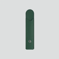 Clearance S.T. Dupont Pen case FirGreen